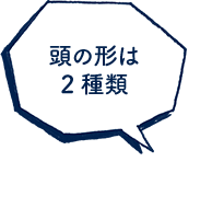 頭の形は 2種類